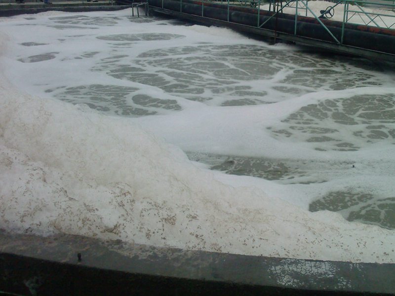 20171031111824_697.jpg/